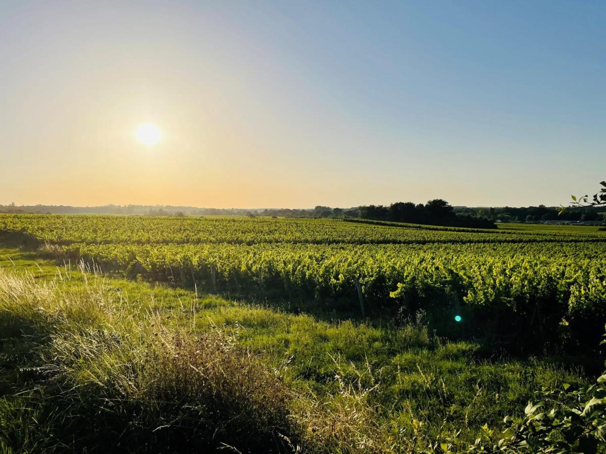 Bed and Breakfast La Vigne D'Or Teuillac Екстер'єр фото